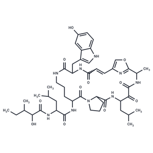 化合物 Discobahamin B|T25343|TargetMol