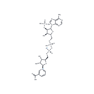 化合物 NAADP tetrasodium salt|T23049|TargetMol