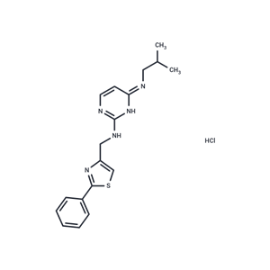 化合物 KHS 101 hydrochloride|T22890|TargetMol