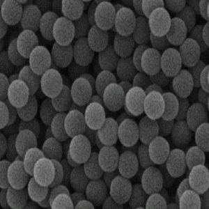 NH2+COOH双修饰聚苯乙烯微球20nm-200um