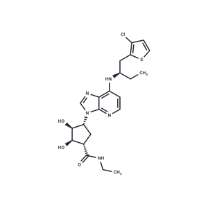 化合物 AMP-579|T26621|TargetMol