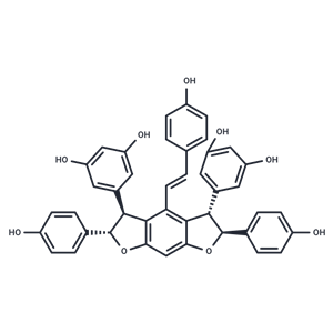 化合物 Gnetin H|T126475|TargetMol