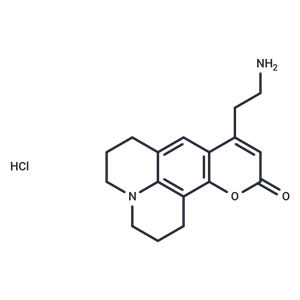 FFN 511 盐酸盐|T22781L|TargetMol