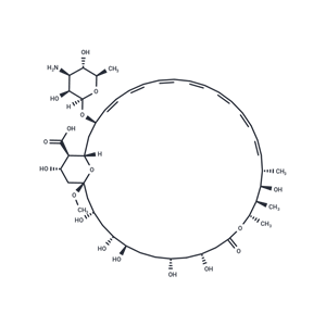 两性霉素 X1,Amphotericin X1