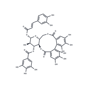 化合物 1-O-Caffeoyl-3-O-galloyl-4,6-(S)-hexahydroxydiphen|T124953|TargetMol