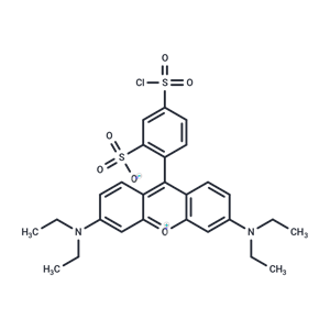 化合物 Lissamine rhodamine B sulfonyl chloride|T20773|TargetMol