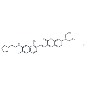 化合物 pan-KRAS-IN-5,pan-KRAS-IN-5