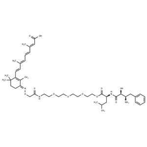 化合物 PROTAC CRABP-II Degrader-3|T13838|TargetMol