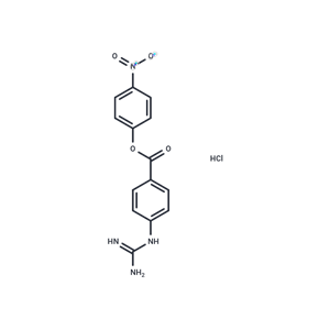 化合物 4-Nitrophenyl 4-guanidinobenzoate hydrochloride|T85466|TargetMol