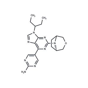 化合物 SB2602|T28688|TargetMol