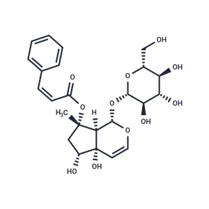 化合物 8-cis-Cinnamoylharpagide,8-cis-Cinnamoylharpagide
