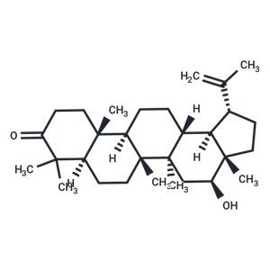 化合物 16-Hydroxylup-20(29)-en-3-one|T29290|TargetMol