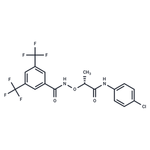 化合物 (R)-CCG-1423|T23221|TargetMol