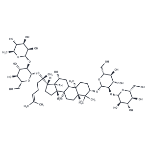 化合物 Gynosaponin V|T126218|TargetMol