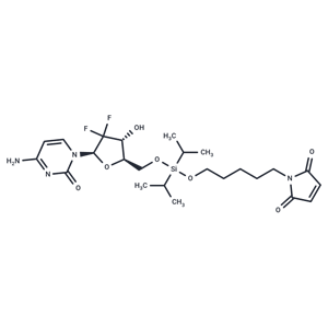 化合物 Gemcitabine-O-Si(di-iso)-O-Mc|T17985|TargetMol