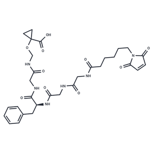 化合物 MC-Gly-Gly-Phe-Gly-NH-CH2-O-cyclopropane-CH2COOH|T86869|TargetMol