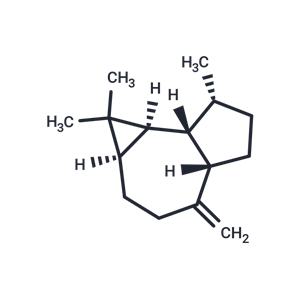 化合物 Alloaromadendrene,Alloaromadendrene