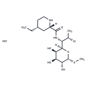 化合物 Pirlimycin HCl,Pirlimycin HCl