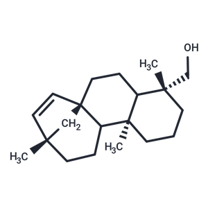 化合物 15-Stachen-19-ol; Erythroxylol A; 15-Beyeren-19-ol|T125414|TargetMol