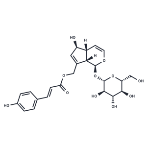 化合物 Eurostoside|T124081|TargetMol
