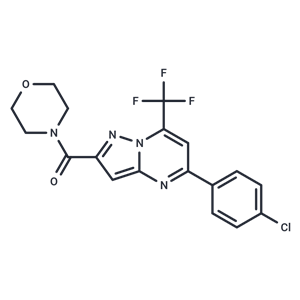 化合物 Acetamide, N-(5-amino-2-(octyloxy)benzyl)-|T29567|TargetMol