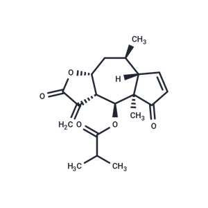 化合物 6-O-Isobutyrylhelenalin,Helenalin isobutyrate|T124696|TargetMol