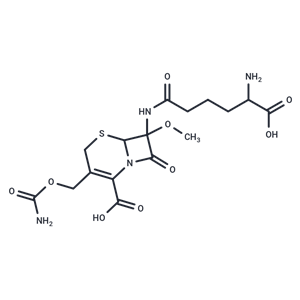 化合物 Cephamycin C,Cephamycin C