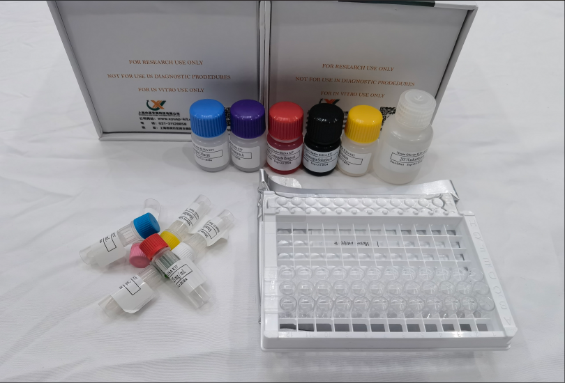 鸡基质金属蛋白酶抑制因子4（TIMP-4）ELISA试剂盒