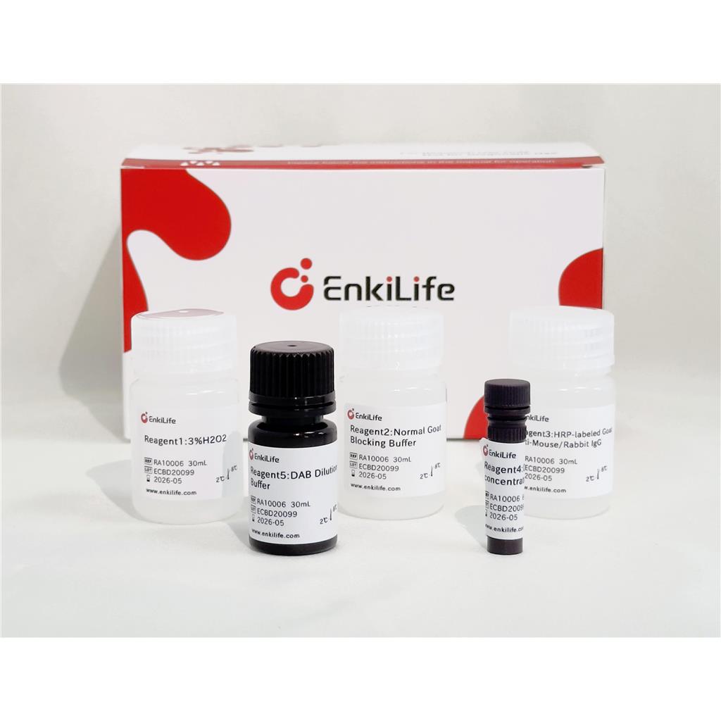 HRP Anti-Mouse/Rabbit IHC 检测试剂盒(DAB系统）,HRP Anti-Mouse/Rabbit IHC Detection System(DAB solution)