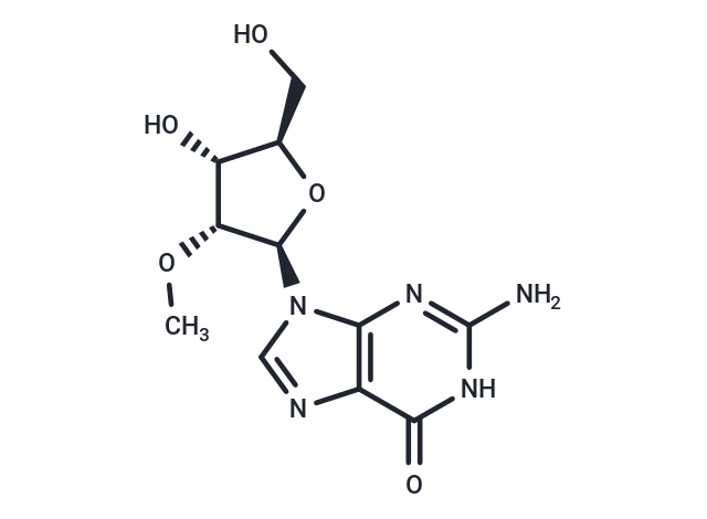 2'-甲氧基鸟苷,2'-OMe-Guanosine