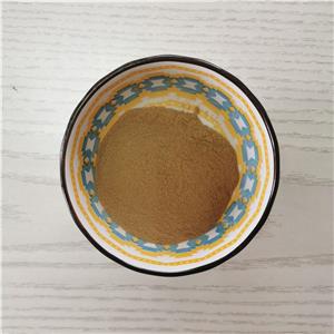 桉叶提取物,Eucalyptus globules Labill.