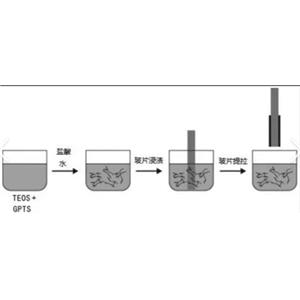 环氧基修饰玻片，Epoxy modified glass slide，环氧（Epoxide）官能化载玻片，环氧基芯片