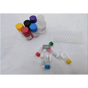 鸡钙离子ATP酶（Ca-ATPase）ELISA试剂盒