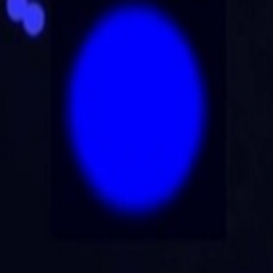 羧基修饰的蓝色聚苯乙烯彩色微球2um