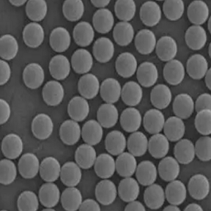 SA修饰PS微球,SA-modified PS microspheres
