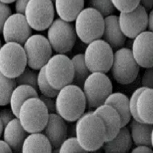 链霉亲和素修饰荧光微球50nm,Streptavidin-conjugated Fluorescent Microspheres