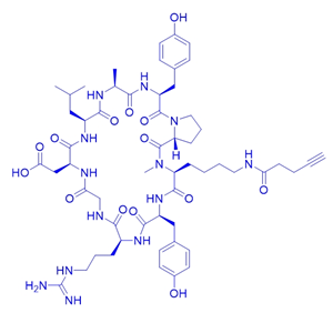 炔基环肽cyclo(YRGDLAYp(NMe)K)/2708163-14-6/cyclo(YRGDLAYp(NMe)K(pentynoic amide))