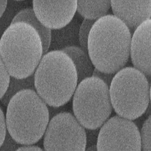 Streptavidin修饰荧光微球,Streptavidin-coated fluorescent microspheres