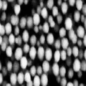 巯基化磁珠,Thiolated Magnetic Beads