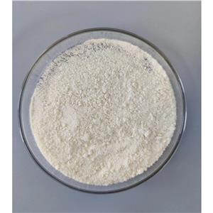 2-氯-4-(1H-吡唑-3-基)苯甲腈,2-Chloro-4-(1H-Pyrazol-5-Yl)Benzonitrile