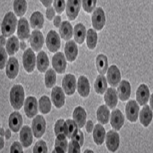 SA-Modified Fluorescent Microspheres，SA修饰荧光微球200nm