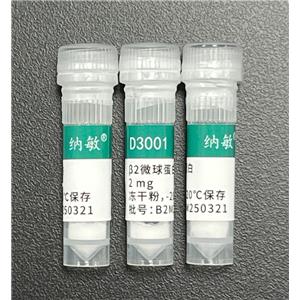 人β2微球蛋白（B2M/β2-MG，重组蛋白）