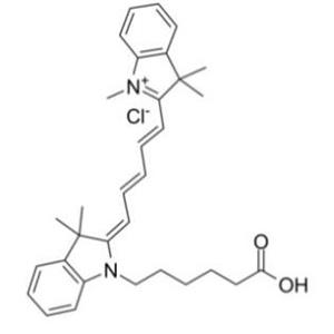 Cy5.5-油酸，CY5.5-Oleic acid，花青 5.5 荧光染料偶联油酸，Cyanine 5.5-Conjugated Oleic Acid