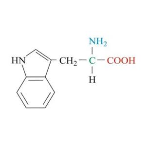 Cy5.5-L-色氨酸，cy5.5-L-Tryptophan，花青 5.5 荧光染料偶联 L - 色氨酸