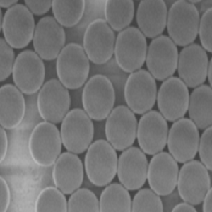 氨基化磁珠，Aminated Magnetic Beads