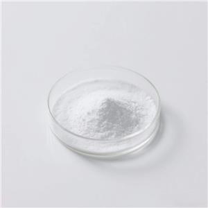 2,4-二氯苯甲酸现货99