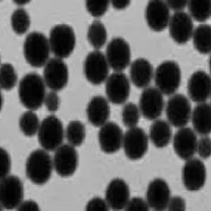 巯基修饰磁珠，Thiol-Modified Magnetic Beads