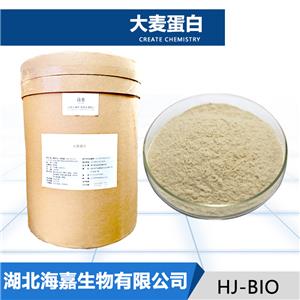 大麦蛋白