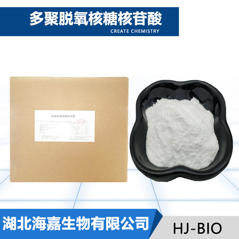 多聚脱氧核糖核苷酸,DEOXYRIBONUCLEIC ACID
