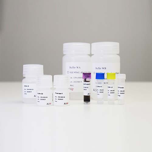 Biotinylated CD28蛋白,CD28